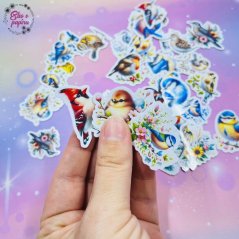 Malé kusové samolepky Ptáčci, barevné motivy, přírodní motivy, diářové samolepky, plánování, bujo, papírové samolepky, scrapbook