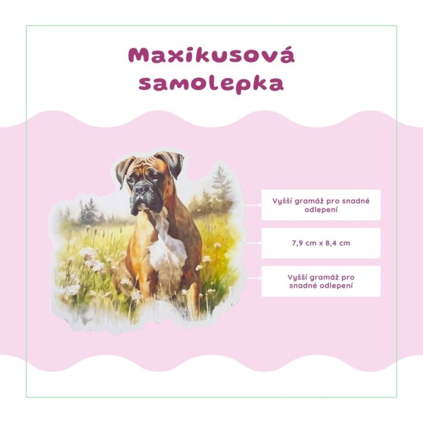 Boxer | Samolepka do diáře | Limitka