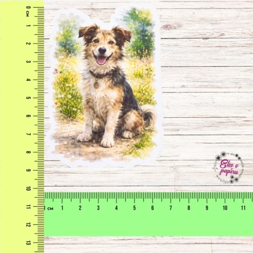 Voříšek | Samolepka do diáře | Limitka