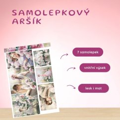Dívka s pivoňkami | Samolepky do diáře - obrázkové boxy