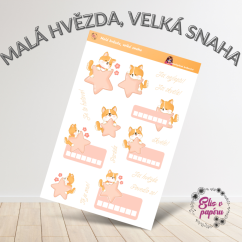 Malá hvězda, velká snaha | Samolepky do diáře
