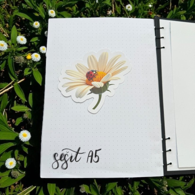 Beruška na sedmikrásce  | Samolepky do diáře