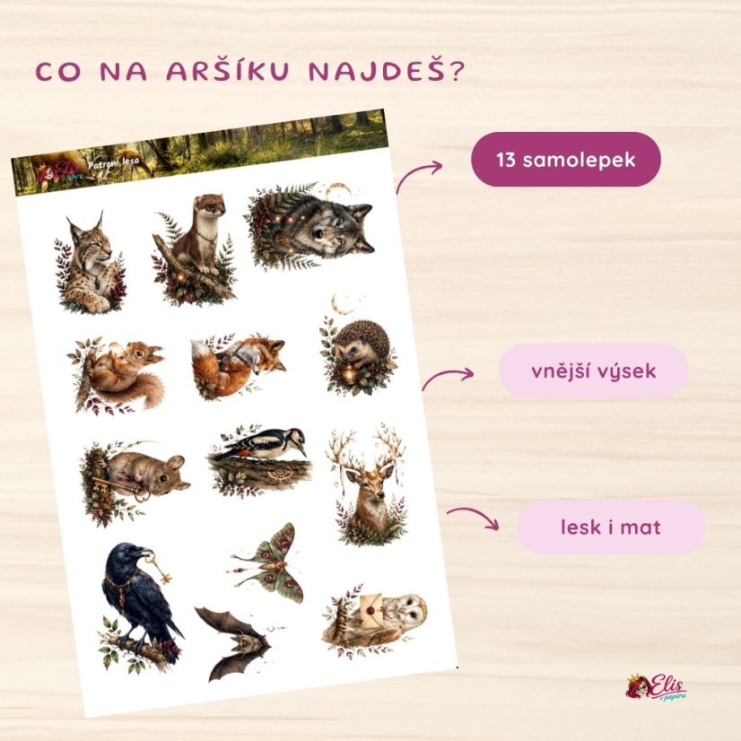 Kouzelný les | Limitovaná sada | Lesk a mat