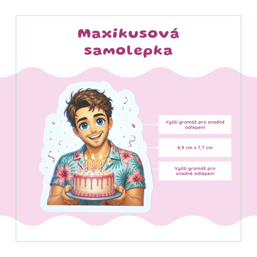 Tom s dortem | Maxi kusová samolepka pro diář i scrapbook