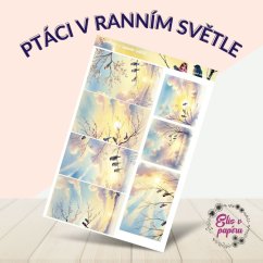 Ptáci v ranním světle | Samolepky do diáře - obrázkové boxy