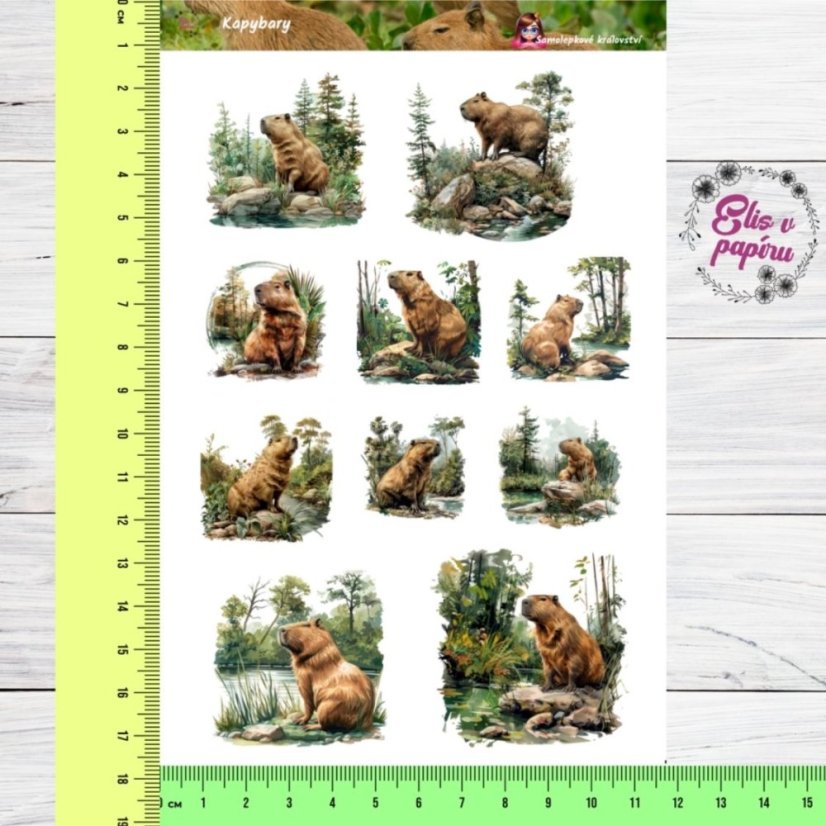 Kapybary | Samolepky do diáře