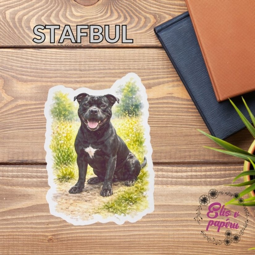 Stafbul | Samolepka do diáře | Limitka