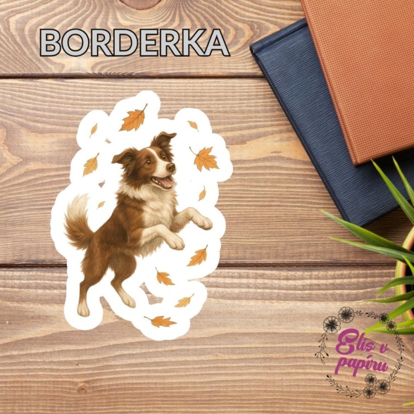 Borderka | Samolepky do diáře