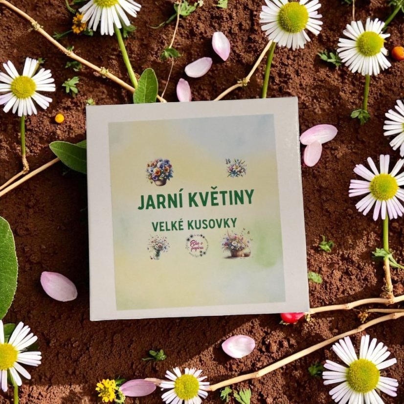 Jarní květiny | Velké kusové samolepky do diáře i pro scrapbook