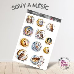 Samolepky zobrazují krásné sovy sedící na měsíci, obklopené květinami a jemnými nočními motivy. Barvy jsou kombinací zlatých a stříbrných tónů, které vytvářejí atmosféru klidu a mystiky. Každá samolepka vyzařuje jemnost a tajemství, které dodají tvému tvoření magický nádech.