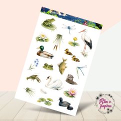 Zvířata u rybníku | Samolepky do diáře