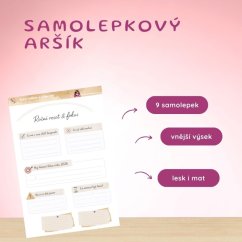 Roční reflexe a plánování | Samolepky do diáře | Limitka
