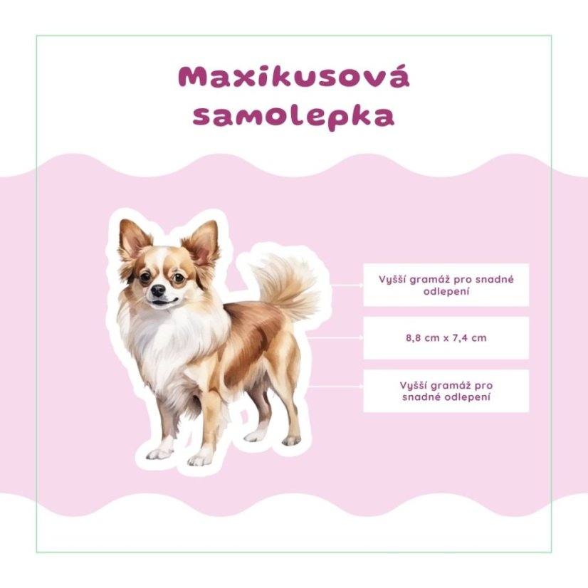 Čivava | Samolepka do diáře | Limitka