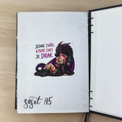 Chci jen draka | Maxi kusová samolepka pro diář i scrapbook