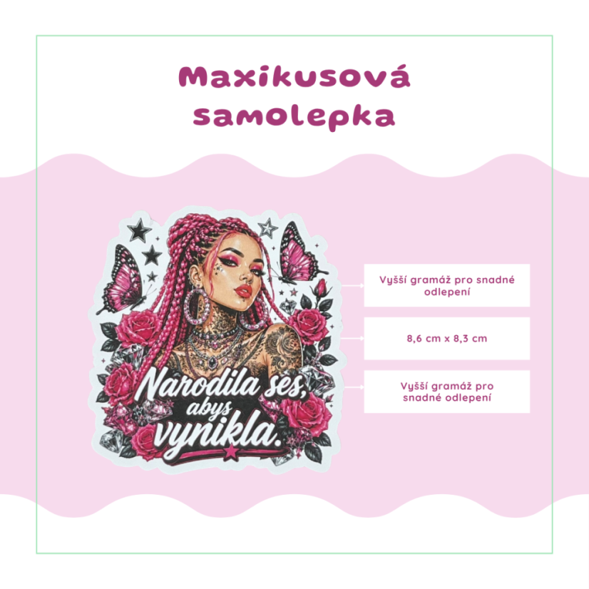 Narodila ses abys vynikla | Maxi kusová samolepka pro diář i scrapbook