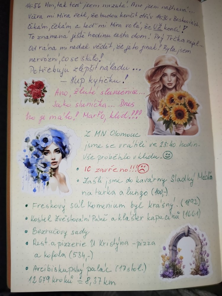 Tvoření od Marty Valíkové - slunečnice, magie vlčích máků a tulipány