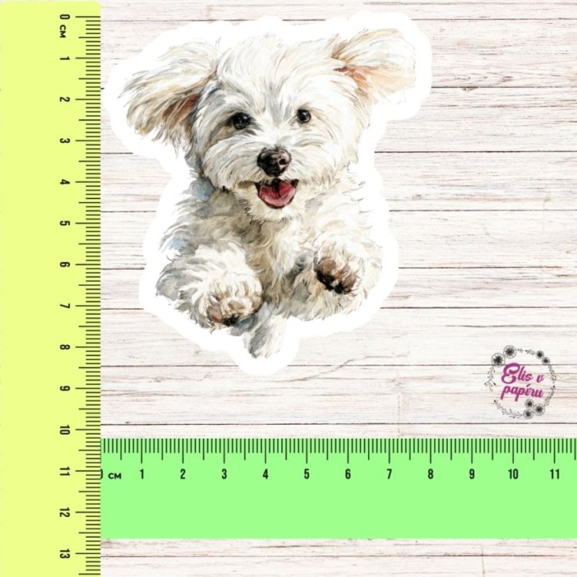 Maltezák | Samolepka do diáře | Limitka