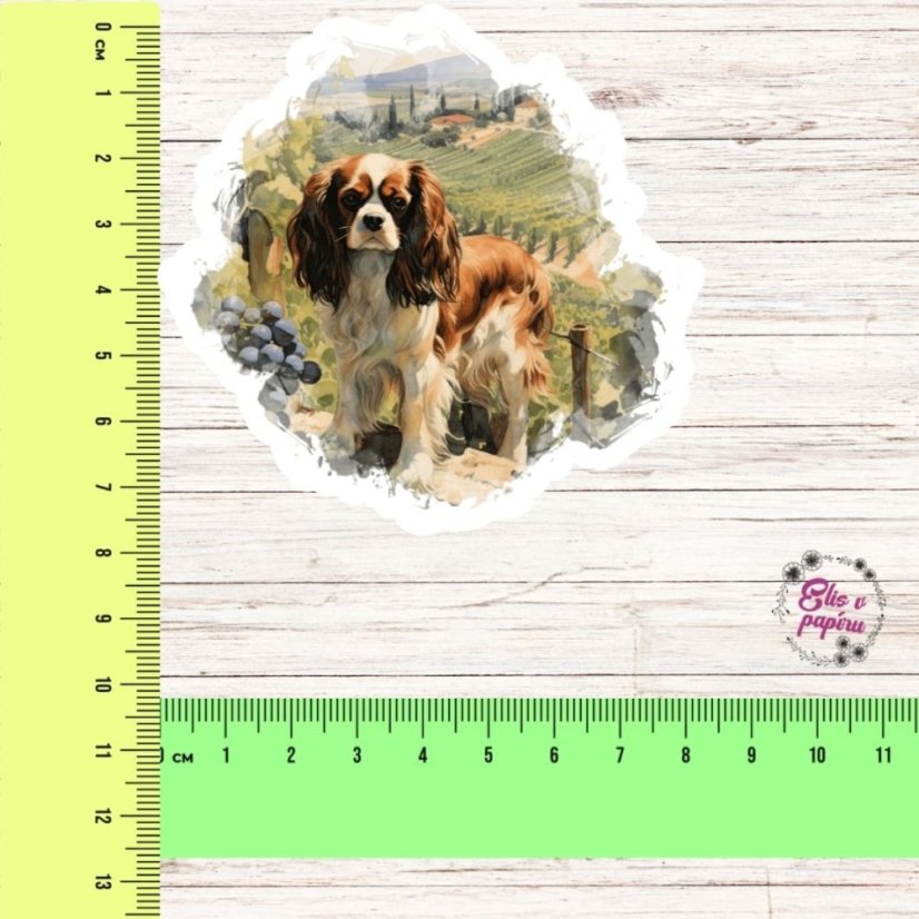 Kavalír king Charles španěl | Samolepka do diáře | Limitka
