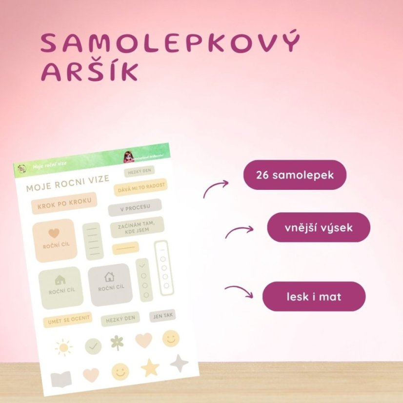 Moje roční vize | Samolepky do diáře