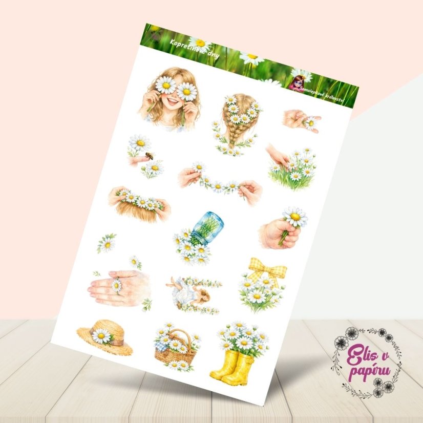 Kopretinové dny | Samolepky do diáře