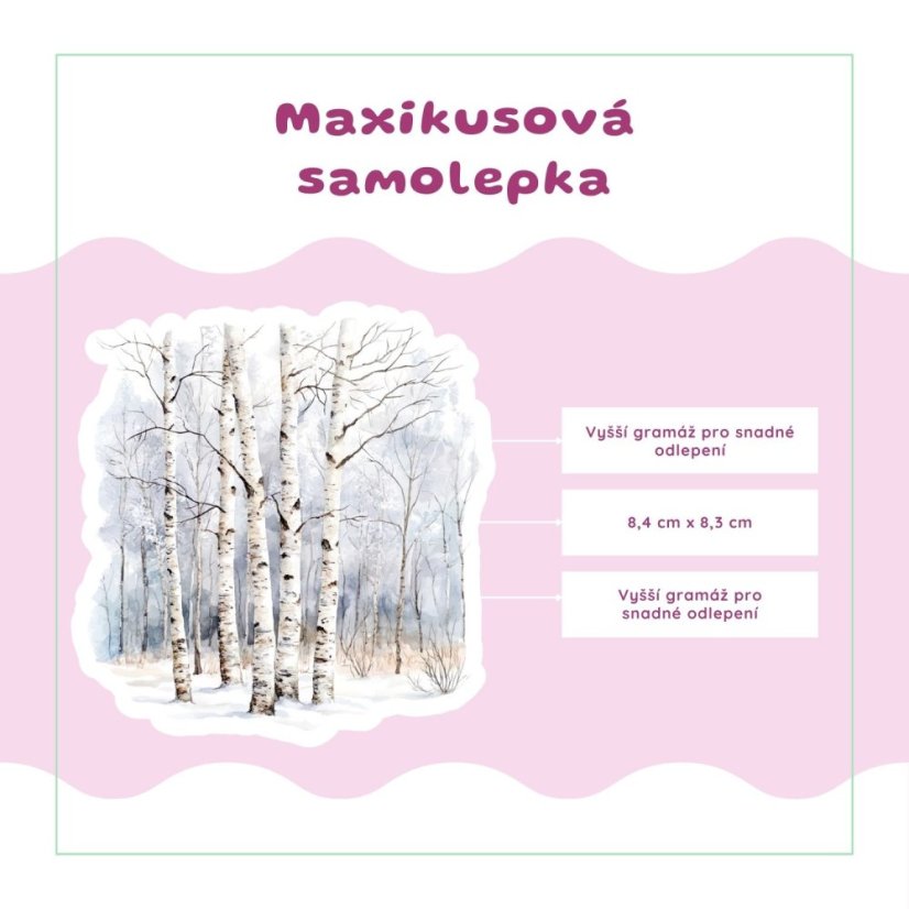 Zasněžený březový háj | Samolepka do diáře