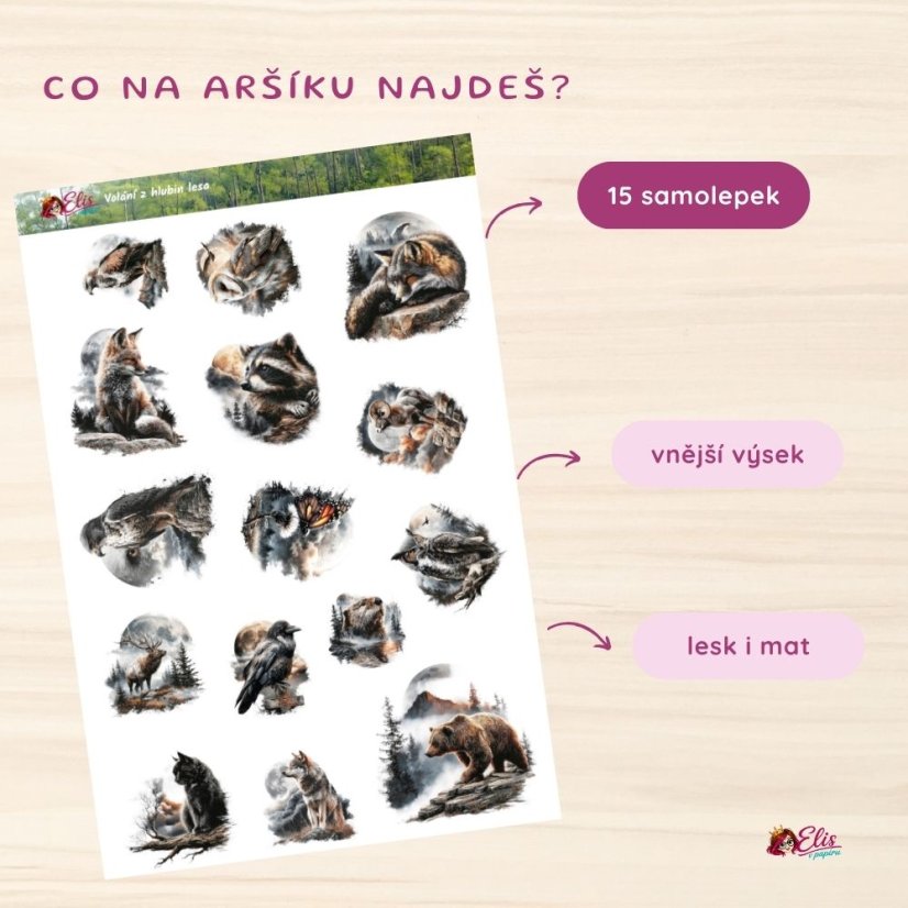 Kouzelný les | Limitovaná sada | Lesk a mat