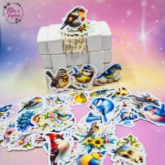 Malé kusové samolepky Ptáčci, barevné motivy, přírodní motivy, diářové samolepky, plánování, bujo, papírové samolepky, scrapbook