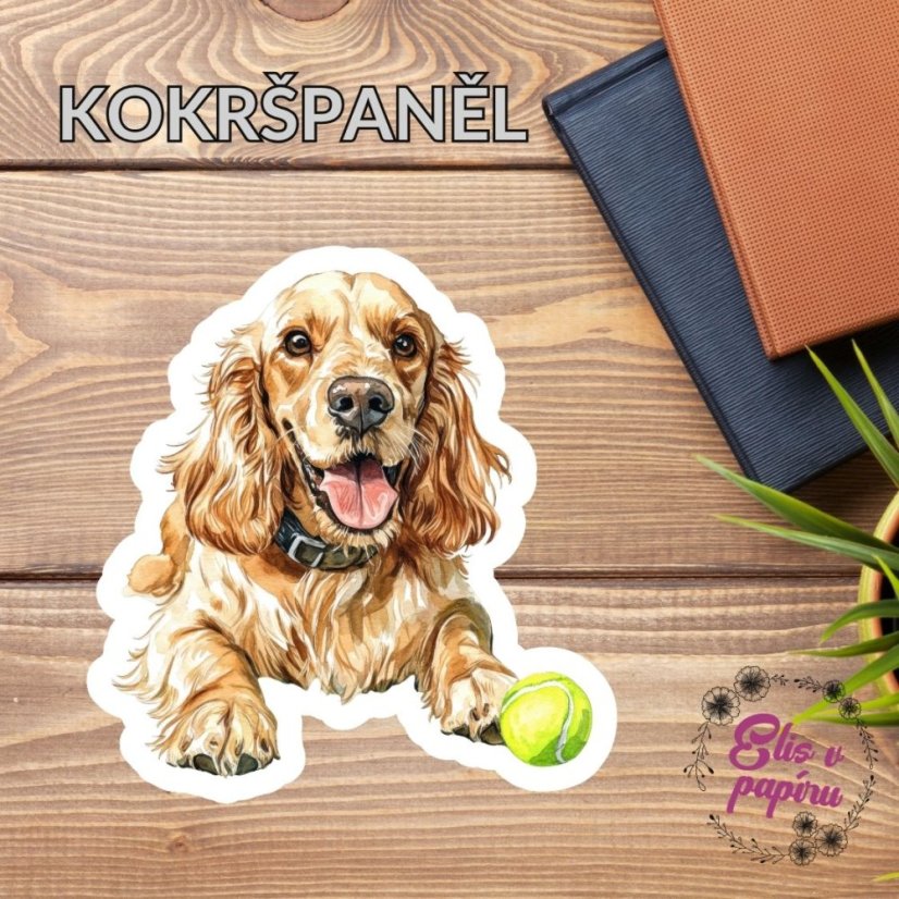 Kokršpaněl | Samolepka do diáře | Limitka
