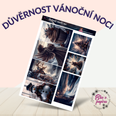 Důvěrnost vánoční noci | Samolepky do diáře - obrázkové boxy