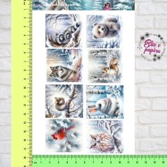 Lesní zvířátka v zimě 2 | Samolepky do diáře - obrázkové boxy