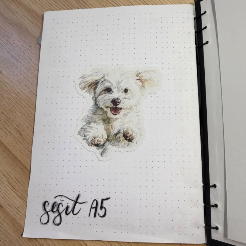 Maltezák | Samolepka do diáře | Limitka