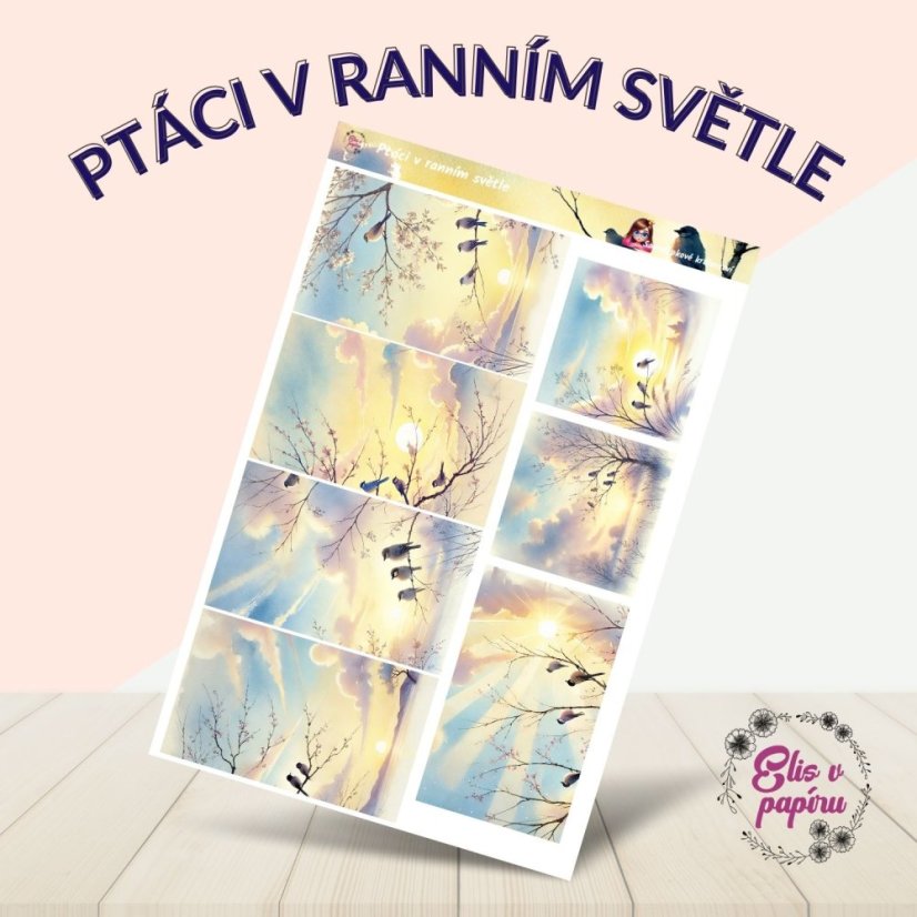 Ptáci v ranním světle | Samolepky do diáře - obrázkové boxy