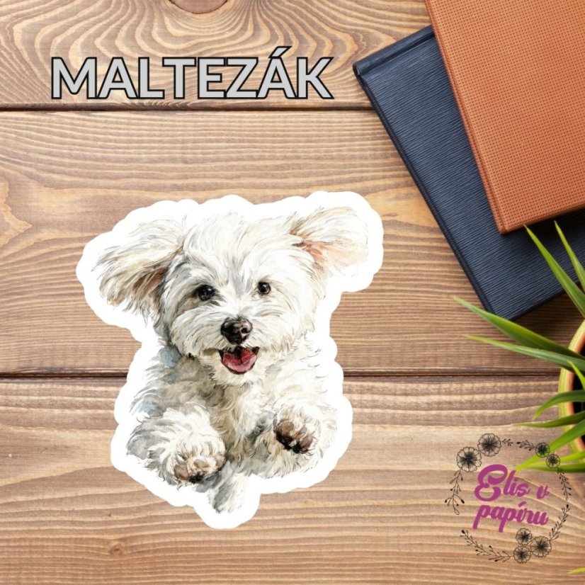 Maltezák | Samolepka do diáře | Limitka