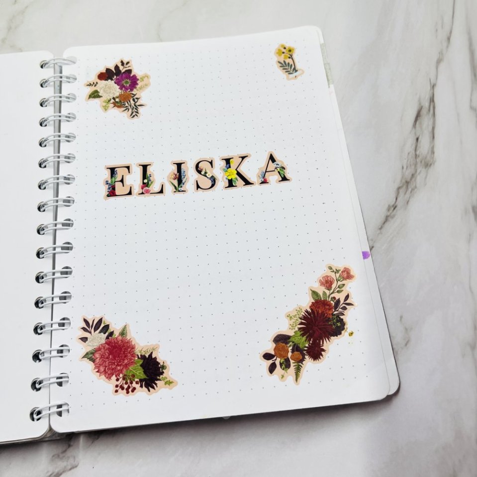 Úvodní stránka bujo